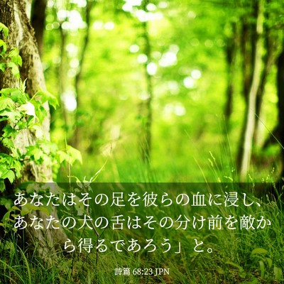 Picture 03 - 詩篇 68:23 JPN - あなたはその足を彼らの血に浸し、 - Bible Verse Picture