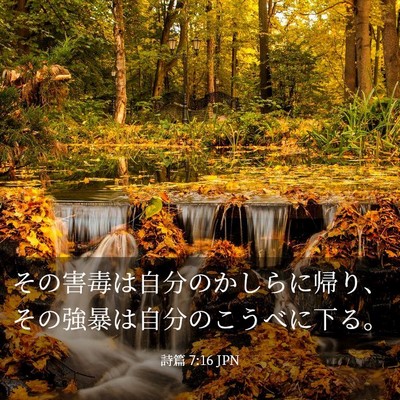 Picture 03 - 詩篇 7:16 JPN - その害毒は自分のかしらに帰り、そ - Bible Verse Picture