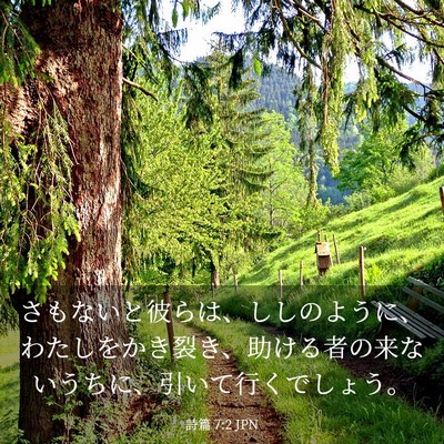 Picture 03 - 詩篇 7:2 JPN - さもないと彼らは、ししのように、 - Bible Verse Picture