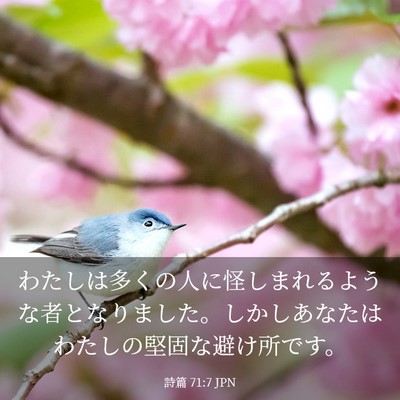 Picture 03 - 詩篇 71:7 JPN - わたしは多くの人に怪しまれるよう - Bible Verse Picture