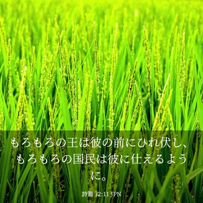 Picture 03 - 詩篇 72:11 JPN - もろもろの王は彼の前にひれ伏し、 - Bible Verse Picture