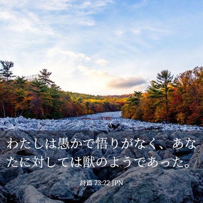 Picture 03 - 詩篇 73:22 JPN - わたしは愚かで悟りがなく、あなた - Bible Verse Picture