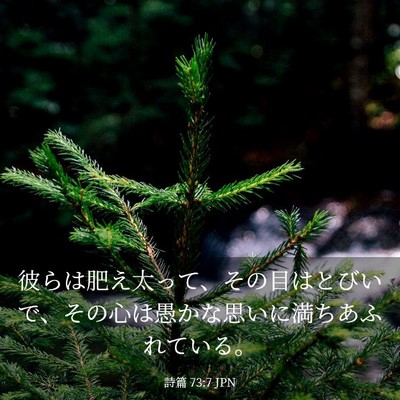 Picture 03 - 詩篇 73:7 JPN - 彼らは肥え太って、その目はとびい - Bible Verse Picture