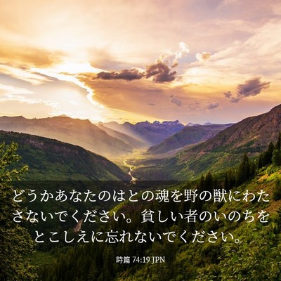Picture 03 - 詩篇 74:19 JPN - どうかあなたのはとの魂を野の獣に - Bible Verse Picture