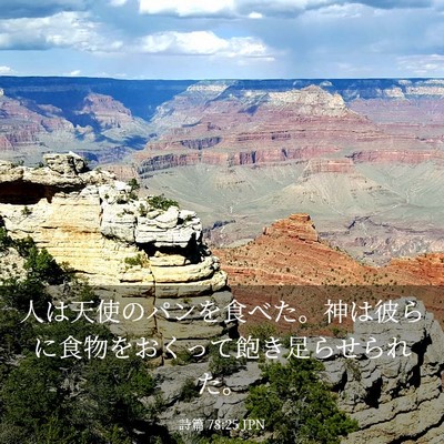 Picture 03 - 詩篇 78:25 JPN - 人は天使のパンを食べた。神は彼ら - Bible Verse Picture