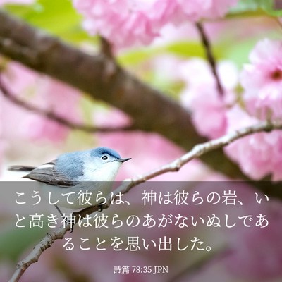 Picture 03 - 詩篇 78:35 JPN - こうして彼らは、神は彼らの岩、い - Bible Verse Picture