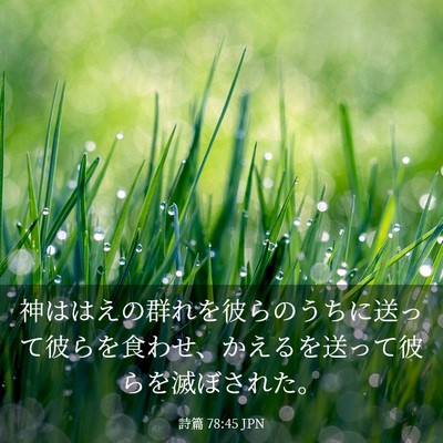 Picture 03 - 詩篇 78:45 JPN - 神ははえの群れを彼らのうちに送っ - Bible Verse Picture