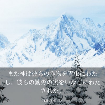 Picture 03 - 詩篇 78:46 JPN - また神は彼らの作物を青虫にわたし - Bible Verse Picture
