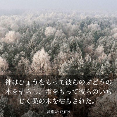 Picture 03 - 詩篇 78:47 JPN - 神はひょうをもって彼らのぶどうの - Bible Verse Picture