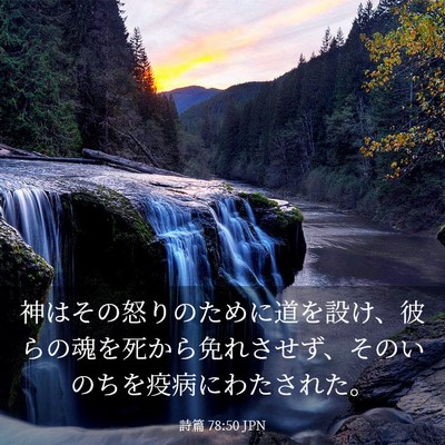 Picture 03 - 詩篇 78:50 JPN - 神はその怒りのために道を設け、彼 - Bible Verse Picture