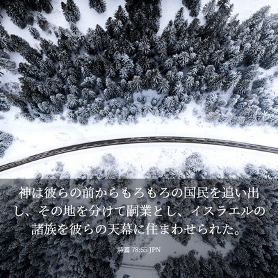 Picture 03 - 詩篇 78:55 JPN - 神は彼らの前からもろもろの国民を - Bible Verse Picture