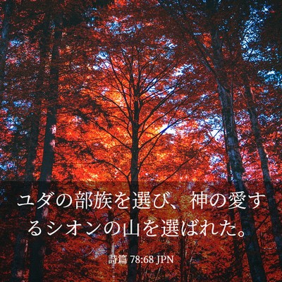 Picture 03 - 詩篇 78:68 JPN - ユダの部族を選び、神の愛するシオ - Bible Verse Picture