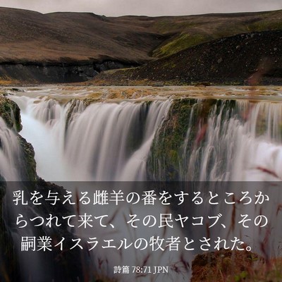 Picture 03 - 詩篇 78:71 JPN - 乳を与える雌羊の番をするところか - Bible Verse Picture