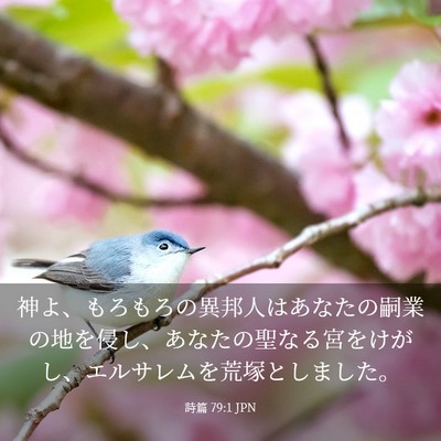 Picture 03 - 詩篇 79:1 JPN - 神よ、もろもろの異邦人はあなたの - Bible Verse Picture