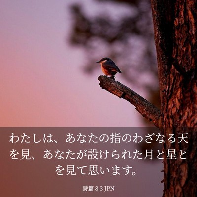 Picture 03 - 詩篇 8:3 JPN - わたしは、あなたの指のわざなる天 - Bible Verse Picture