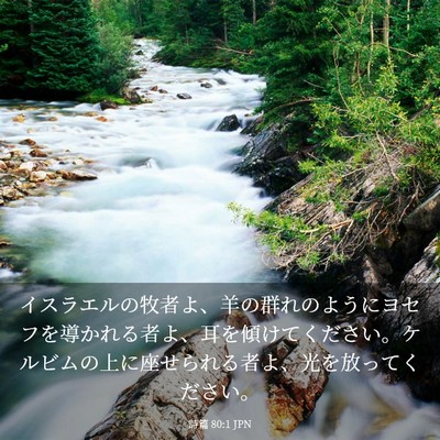 Picture 03 - 詩篇 80:1 JPN - イスラエルの牧者よ、羊の群れのよ - Bible Verse Picture