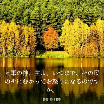 Picture 03 - 詩篇 80:4 JPN - 万軍の神、主よ、いつまで、その民 - Bible Verse Picture