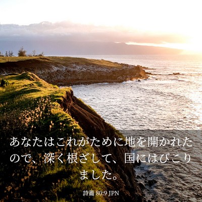 Picture 03 - 詩篇 80:9 JPN - あなたはこれがために地を開かれた - Bible Verse Picture