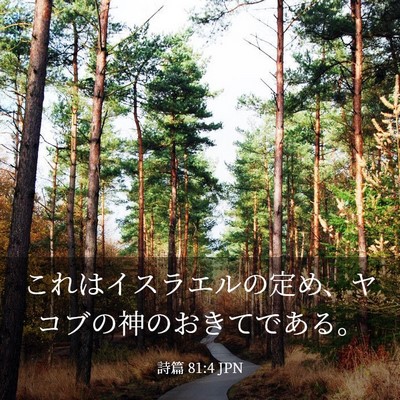 Picture 03 - 詩篇 81:4 JPN - これはイスラエルの定め、ヤコブの - Bible Verse Picture