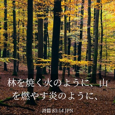 Picture 03 - 詩篇 83:14 JPN - 林を焼く火のように、山を燃やす炎 - Bible Verse Picture