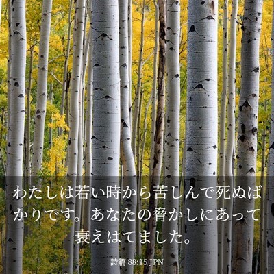 Picture 03 - 詩篇 88:15 JPN - わたしは若い時から苦しんで死ぬば - Bible Verse Picture