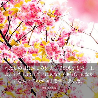 Picture 03 - 詩篇 88:9 JPN - わたしの目は悲しみによって衰えま - Bible Verse Picture