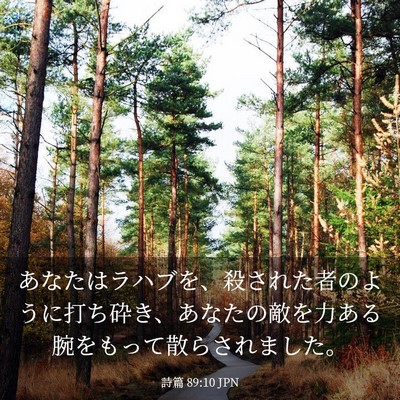 Picture 03 - 詩篇 89:10 JPN - あなたはラハブを、殺された者のよ - Bible Verse Picture