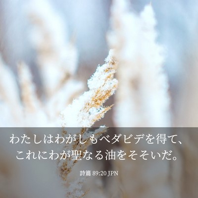 Picture 03 - 詩篇 89:20 JPN - わたしはわがしもべダビデを得て、 - Bible Verse Picture