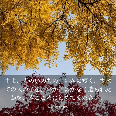 Picture 03 - 詩篇 89:47 JPN - 主よ、人のいのちの、いかに短く、 - Bible Verse Picture