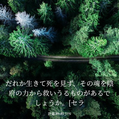 Picture 03 - 詩篇 89:48 JPN - だれか生きて死を見ず、その魂を陰 - Bible Verse Picture