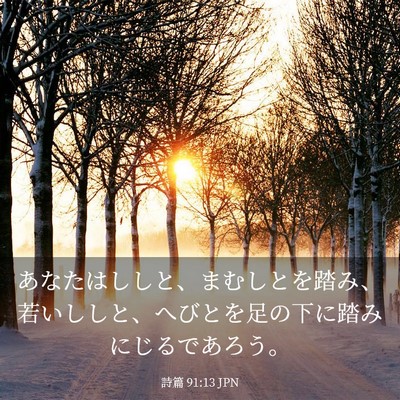 Picture 03 - 詩篇 91:13 JPN - あなたはししと、まむしとを踏み、 - Bible Verse Picture