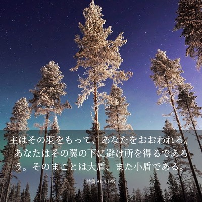 Picture 03 - 詩篇 91:4 JPN - 主はその羽をもって、あなたをおお - Bible Verse Picture