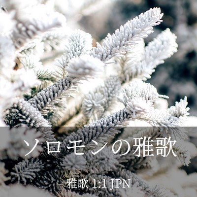 Picture 03 - 雅歌 1:1 JPN - ソロモンの雅歌 - Bible Verse Picture
