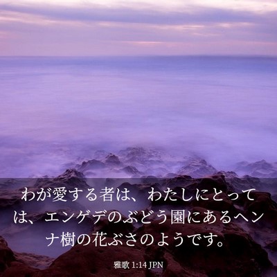 Picture 03 - 雅歌 1:14 JPN - わが愛する者は、わたしにとっては - Bible Verse Picture