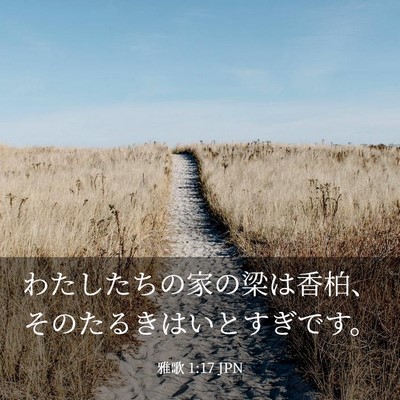 Picture 03 - 雅歌 1:17 JPN - わたしたちの家の梁は香柏、そのた - Bible Verse Picture