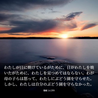 Picture 03 - 雅歌 1:6 JPN - わたしが日に焼けているがために、 - Bible Verse Picture