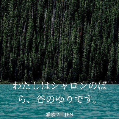 Picture 03 - 雅歌 2:1 JPN - わたしはシャロンのばら、谷のゆり - Bible Verse Picture