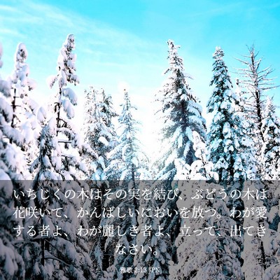 Picture 03 - 雅歌 2:13 JPN - いちじくの木はその実を結び、ぶど - Bible Verse Picture