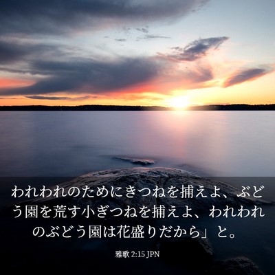 Picture 03 - 雅歌 2:15 JPN - われわれのためにきつねを捕えよ、 - Bible Verse Picture