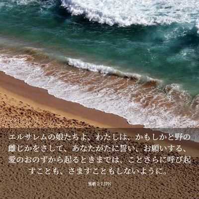 Picture 03 - 雅歌 2:7 JPN - エルサレムの娘たちよ、わたしは、 - Bible Verse Picture