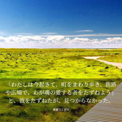 Picture 03 - 雅歌 3:2 JPN - 「わたしは今起きて、町をまわり歩 - Bible Verse Picture