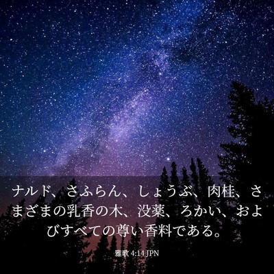 Picture 03 - 雅歌 4:14 JPN - ナルド、さふらん、しょうぶ、肉桂 - Bible Verse Picture