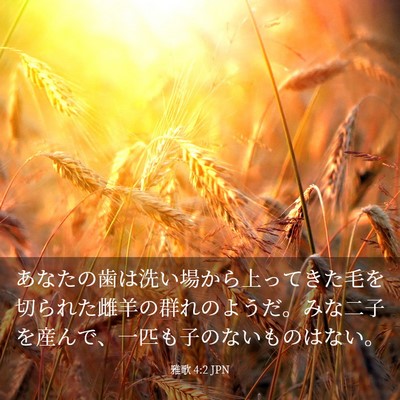 Picture 03 - 雅歌 4:2 JPN - あなたの歯は洗い場から上ってきた - Bible Verse Picture