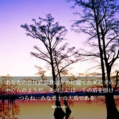 Picture 03 - 雅歌 4:4 JPN - あなたの首は武器倉のために建てた - Bible Verse Picture