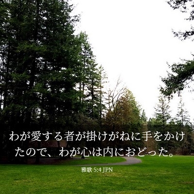 Picture 03 - 雅歌 5:4 JPN - わが愛する者が掛けがねに手をかけ - Bible Verse Picture