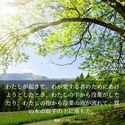 Picture 03 - 雅歌 5:5 JPN - わたしが起きて、わが愛する者のた - Bible Verse Picture