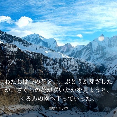 Picture 03 - 雅歌 6:11 JPN - わたしは谷の花を見、ぶどうが芽ざ - Bible Verse Picture