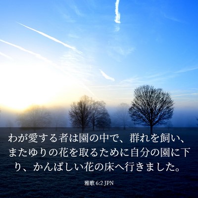 Picture 03 - 雅歌 6:2 JPN - わが愛する者は園の中で、群れを飼 - Bible Verse Picture