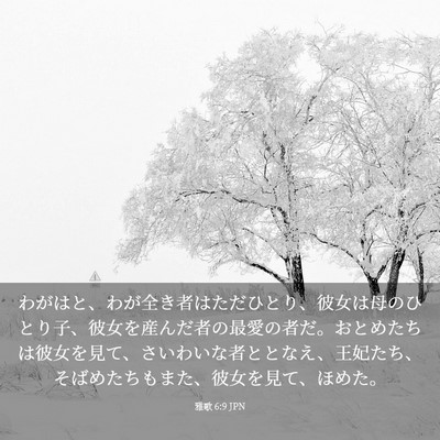 Picture 03 - 雅歌 6:9 JPN - わがはと、わが全き者はただひとり - Bible Verse Picture