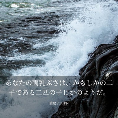 Picture 03 - 雅歌 7:3 JPN - あなたの両乳ぶさは、かもしかの二 - Bible Verse Picture
